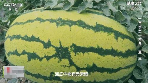 吃瓜三瓜视频,一场视觉与味蕾的双重盛宴