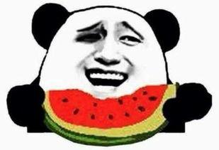 网红吃瓜群众免费吃瓜微信,微信带你畅享瓜界盛宴