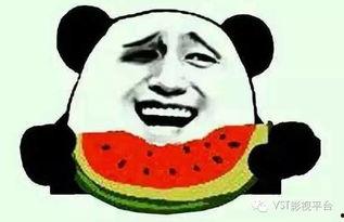 惊呆吃瓜,揭秘娱乐圈惊人内幕