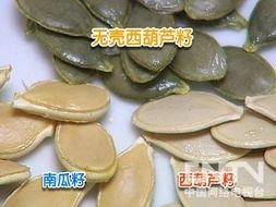 吃瓜不吐瓜子皮,揭秘瓜子的独特魅力与食用之道