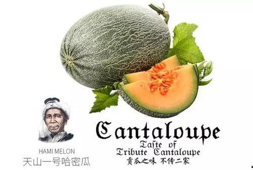 克拉吃瓜公众号,揭秘娱乐圈那些不为人知的幕后故事