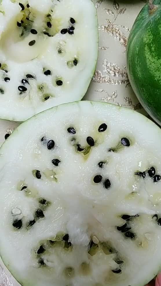 吃瓜上兰州,探寻兰州的独特风味