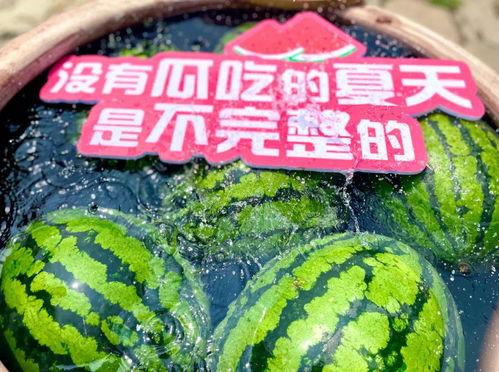 最新吃瓜集合,揭秘明星幕后故事与热点事件