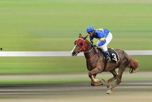 赛马吃瓜,一场别开生面的趣味赛事