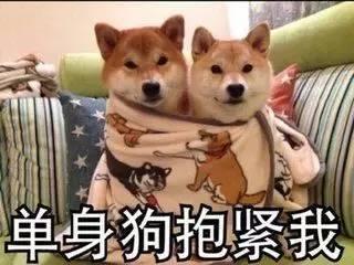 吃瓜基地7shdog,一场网络狂欢的幕后故事