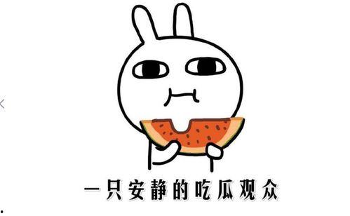 吃瓜那些事,揭秘娱乐圈幕后真相与八卦风云
